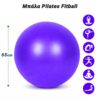 Μπάλα Pilates Fitball 65cm Purple