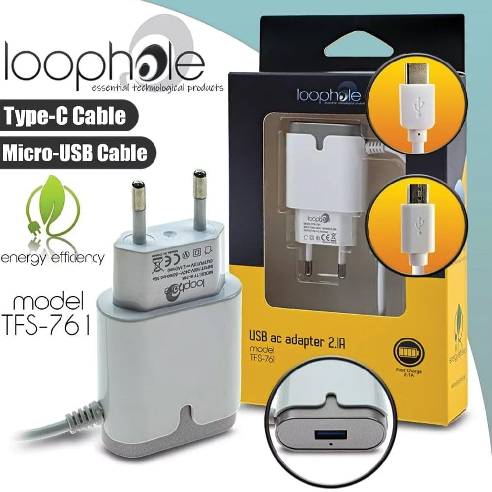 LOOPHOLE AC Adapter TYPE-C & Micro-B SILVER 1 LOOPHOLE AC Adapter TYPE-C & Micro-B SILVER