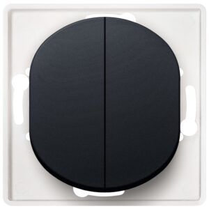 soft-touch black