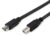POWERTECH καλώδιο USB-C σε USB Type Β CAB-U166, 480Mbps, 1.5m, μαύρο